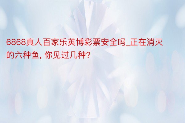 6868真人百家乐英博彩票安全吗_正在消灭的六种鱼, 你见过几种?